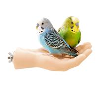 Bird Perch Stand Hand Interactive Training Enrichment Standing Toys