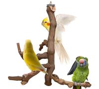 Bird Perch Stand Natural Parrot Perch for Cage Parakeet Climbing Platform Branches Swing Toy Cage Accessories for Cockatiels Lovebird Finches Canaries Budgie