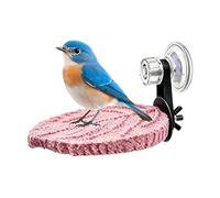 Bird Perch Stand, Suction Cup Resting Tray, 5 Inch Parrot Perch Holder, for Conure Parrot Parakeet Cockatiel Cockatoo Canary Finch Cage Use, Bird Resting, Cage Comfort Perch's Accessory