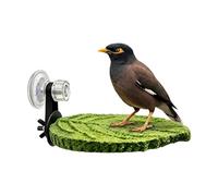 Bird Perch, Suction Cup Rest Stand for Birds, Conure Perch for and Parakeets, Suitable for: Parakeets, Conures, Cockatoos, Lovebirds, Canaries, Finches