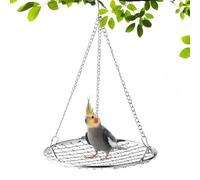 Bird Perch Swing, Stainless Steel Playground, 12x8 Inch Cooling Grid Rest, Rust-Resistant Chew-Proof Pet Kit, Swing Accessory with Durable Frame, Parakeet Cockatiel Finch Cage Playground for Balcony