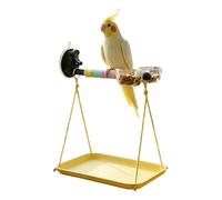 Bird Perch Training Toy - 8" Stand | PVC Stainless Steel Parrot Perch Set | Cage Activity with Powered Chain