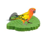 Bird Perches for Cage Conure Beak Grinding