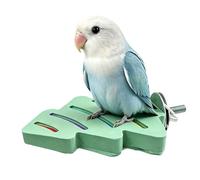 Bird Perches for Cage - Resin Toys for Filing Paws and Perching - Bird Perch Support - Suitable for Home Training Cochorite Parakeets Cockatiels Conuri Ins