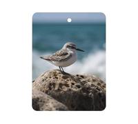 Bird Perching on The Rock Car Air Freshener Hanging, Long Lasting Scented Car Aromatherapy Tablets, Square Fragrance Scented Cards for Vehicles, Bedroom, Wardrobe White-style