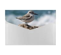 Bird Perching on The Rock File Folder, 6-Pocket Expanding Accordion Folder with Snap Closure, Waterproof Document Organizer for Home, Office & Travel