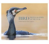 Bird Photographer of the Year: Collection 10