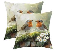 Bird Pillow Covers Set of 2, Gray and Orange Robin Throw Pillows Case, Spring Decorative Square Farmhouse Decor Cushion Covers for Home Sofa Bed Couch 16x16 Inch