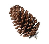 Bird Pinecone Stand | Wooden Chew Toy | Natural Pinecone Perch Designed for Pecking, Chewing, and Resting Comfort | Ideal Activity Spot for Budgerigars, Lovebirds, Finches, and Small to Medium