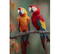 Bird Plant,Adult 1000-piece puzzle,Large-scale family puzzle games for children and teenagers,38x52cm