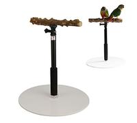 Oreb Bird Play Stand, Adjustable Height Parrot Training Perch, 11.8in-37.0in, Natural Wood & Acrylic, Portable Detachable Parrot Play Stand for Cockatiels, Lovebirds, Parakeet