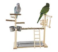 Bird Play Stand - Climbing Ladder with Tray and Cups | Bird Exercise Toy, Bird Perches, Bird Gym Sets for Parakeets for Sturdy Cockatiel and this