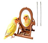 Bird Play Stand Interactive Parrot Swing Stand