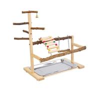 Bird Playground Bird Gym With Ladder Wood Bird Playstand For Budgie Parakeet Parrot Finch Activity Center