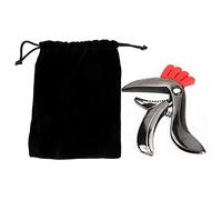 Bird Shape Guitar Zinc Alloy Bionic Streamlined Design Fast Fret Switching for Folk Pop Music Accessories Bright Black Color with Storage Bag