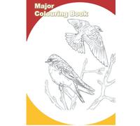 Bird Sketches for Coloring