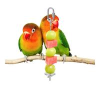 Bird Snack Skewer, Stainless Steel Fruit Pole Holder, Vegetable Skewer for Parakeets, Budgies, Cockatiels, Parakeets, Finches and Lovebirds