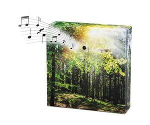 Bird Song and Forest Sound Box - 12cm - Bird Speaker with Natural Sounds
