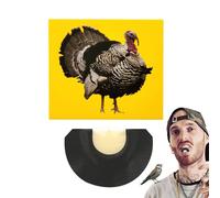 Bird Sound Effect,Bright Colors Bird Sound | Unique Creative Fun Noise Makers for Birthday April 's Day Celebrations