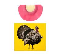 Bird Sound Effect Whistle, Crazy Whistles, Animal Sounds | Novelty Bird Sound Whistle Bird Sound Whistle - Creative, Fun, Unique Noisemaker for April Fool's Day Birthday Parties