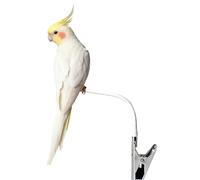 Bird Stand,Flexible Parrots Desktop Playground - Bird Training Stand | for Lovebirds Finch Parrots Parakeets Cockatiels Budgies Conures