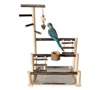 Bird Stand Playground - Seat Ladder, Stainless Steel Arcade, Interactive Cage Accessories, Multifunctional Parakeet Playground Stand for Birds, Play Area, Training, Entertainment, Home