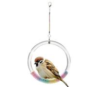 Bird Swing Bird Rope Ring Perch Toy | Colorful Cockatiel Swing for Parrot Parakeet Conure Cockatoo Lovebird Canary