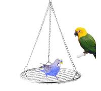 Bird Swing for Parakeets - Stainless Steel Jail Appropriate Perch | Rust Resistant Grid Design Rest Bed | Removable Easy Cleaning Cage Attachment | Swing