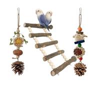 Bird Swing, Parrots Cage Toy, Swing Set Wooden Ladder Training for Small Size Birds Parrots Playstand Set Loofah Bird Swings for Parakeets