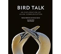 Bird Talk: An exploration of Avian Communication