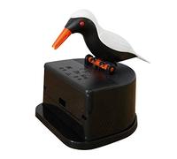 Bird Toothpick Box, Automatic Bird Toothpick Dispenser, Automatic Bird Toothpick Press Toothpick Box, Birdie Toothpick Case Hummingbird Woodpecker Automatic Bird Shape Toothpick, Dispenser for Home