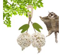 Bird Toy Balls - Parrot Chew Shredder Toy, Interactive Foraging Toys | Captivating Bird Accessories for Competitions, Falcon Parkatels, Bowing Exercises, Colorful Balls, Cage Game, Fun Act