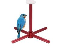 Bird Toy for Parrots, Rotating Chew, Interactive, Fun, Medium Bird Toys for Stand and Cage, for Cage, Indoor and Home Conure Inseparable Movement