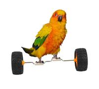 Bird Toy, Rolling Cage Balance Toy - Cage Sporting Equipment Poop Cockatiel Balance Beagle Wooden Perch Table Display | Glass Display for Tabletop Pet Store