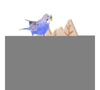 Bird Toy - Wooden Exercise Cockatiel Perch,Supplies Accessories Stand for Building Indoor Training Outdoor Play Shredding Chewing Play
