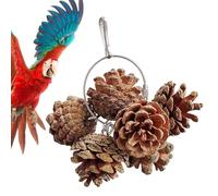 Bird Toys - Augmented Activity, Natural Walnut Pine Cone Bird Toy, Natural Wooden Parrot Cage | Cage Toys, Safe for Small Macaw and M