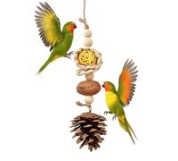 Bird Toys, Parrot Toys with Natural Pine Cones Nuts Corn Husks & Loofahs, Bird Chew Toys For Parakeets Cockatiels Conures Lovebirds & Medium Small Birds