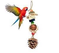 Bird Toys, Parrot Toys with Natural Pine Cones Nuts Corn Husks & Loofahs, Bird Chew Toys For Parakeets Cockatiels Conures Lovebirds & Medium Small Birds