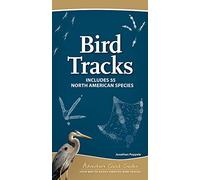 Bird Tracks: Easily Identify 55 Common North American Species (Adventure Quick Guides)