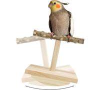 Bird Training Stand,Natural Wood Bird Perch Stand Training,Cage Accessories for Small Birds Parakeets Cockatiels Budgies Finches Love Birds