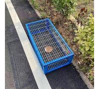 Bird Trap Cage for Pigeons, Doves, Parrots - 2-Sided Design for Effective Catching and Breeding, Ideal for Racing and Window Use