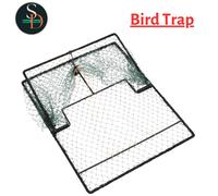 Bird Trap Humane Live Hunting Cage Trap for Small Birds Green Steel vidaXL