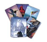 Bird Vibes Meditation Cards: Spiritual Insight Through Birds - 54 cards & 152pp guidebook