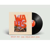 Bird, Wallis - I Can See Your House from Here (Vinyl) [VINYL]