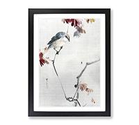 Bird Watching A Spider By Watanabe Seitei Asian Japanese Framed Wall Art Print, Ready to Hang Picture for Living Room Bedroom Home Office Décor, Black A4 (34 x 25 cm)