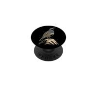 Bird Watching California Quail Illustration PopSockets Adhesive PopGrip