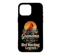 Bird Watching Grandma The Woman The Myth The Legend Case for iPhone 16 Pro Max