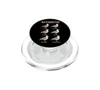 Bird Watching How To Identify A Gull Field Guide Chart PopSockets PopGrip for MagSafe