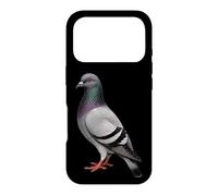 Bird Watching Pigeon Field Guide Chart Gift Case for iPhone 17 Pro