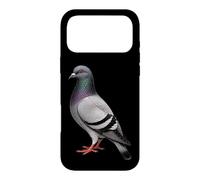Bird Watching Pigeon Field Guide Chart Gift Case for iPhone 17 Pro Max